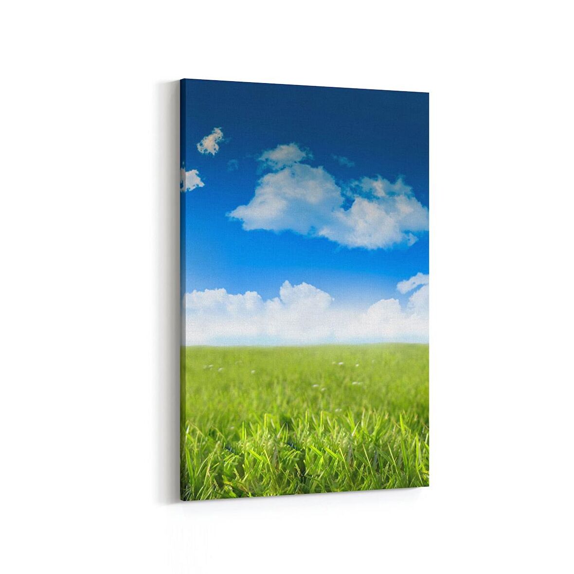 Olla 13798D Doğa / Manzara Görseli Dikey Kanvas Tablo (Ölçü: 60X90)