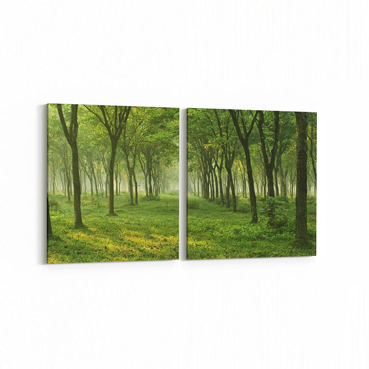 Olla 13535K2Y Doğa / Manzara Görseli Kare 2'li Yatay Kanvas Tablo (Ölçü: 105X50)