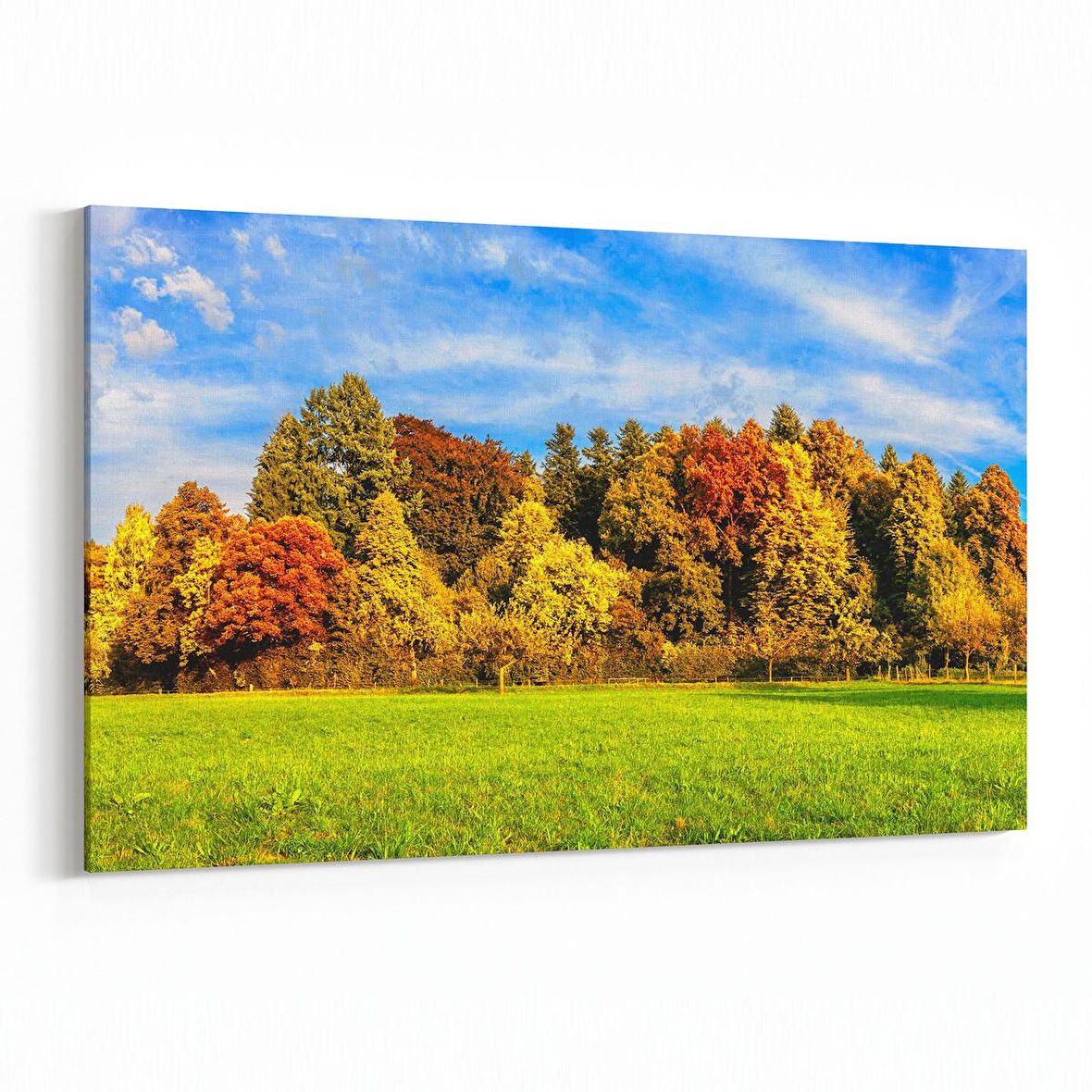 Olla 14131Y Doğa / Manzara Görseli Yatay Kanvas Tablo (Ölçü: 120X80)