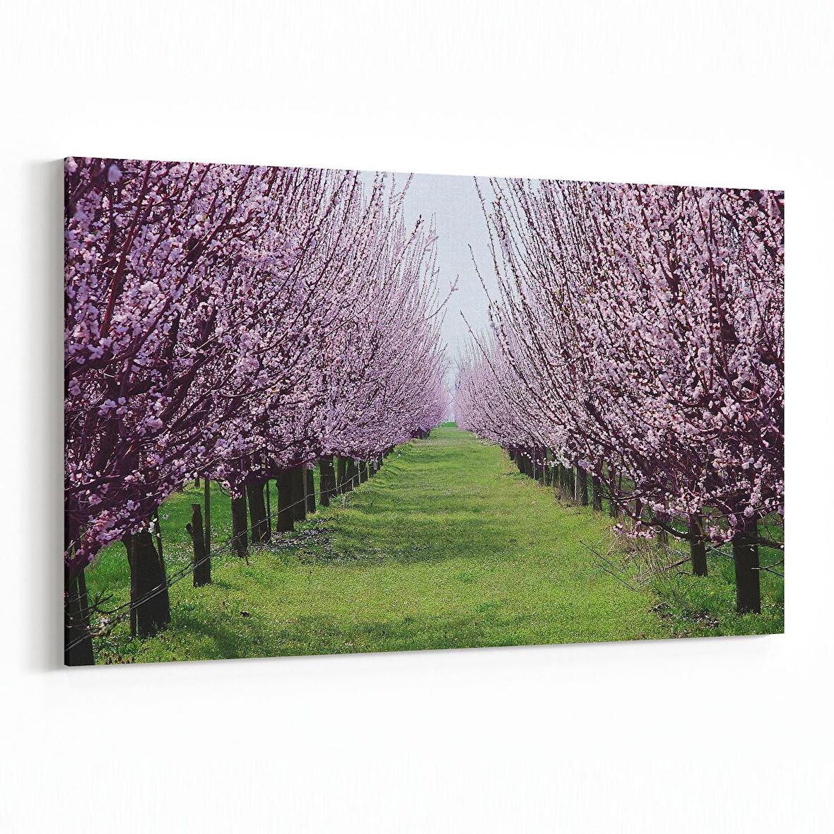 Olla 13453Y Doğa / Manzara Görseli Yatay Kanvas Tablo (Ölçü: 150X100)