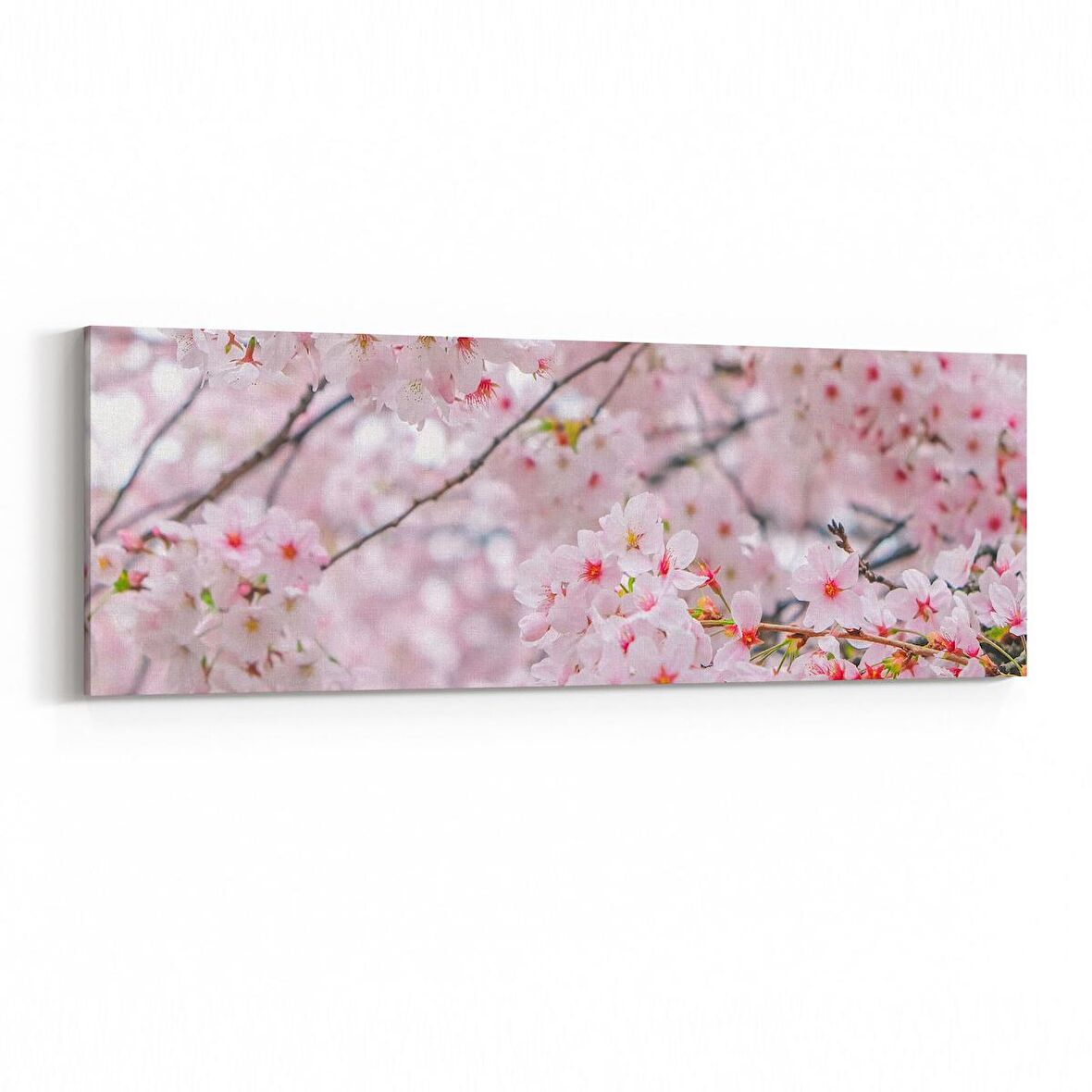 Olla 11556YI Çiçek Görseli Yatay İnce Kanvas Tablo (Ölçü: 90X30)