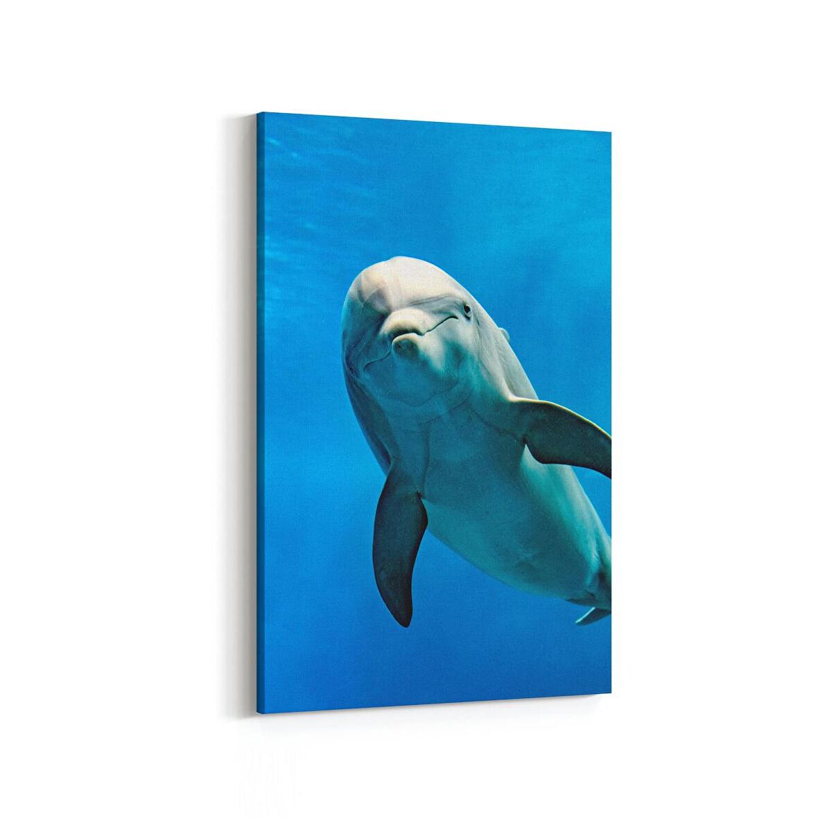 Olla 13007D Deniz / Okyanus Görseli Dikey Kanvas Tablo (Ölçü: 100X150)