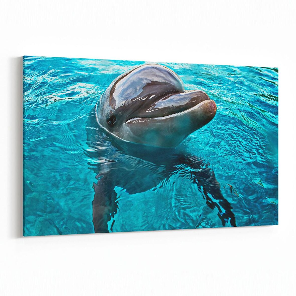 Olla 12877Y Deniz / Okyanus Görseli Yatay Kanvas Tablo (Ölçü: 30X20)