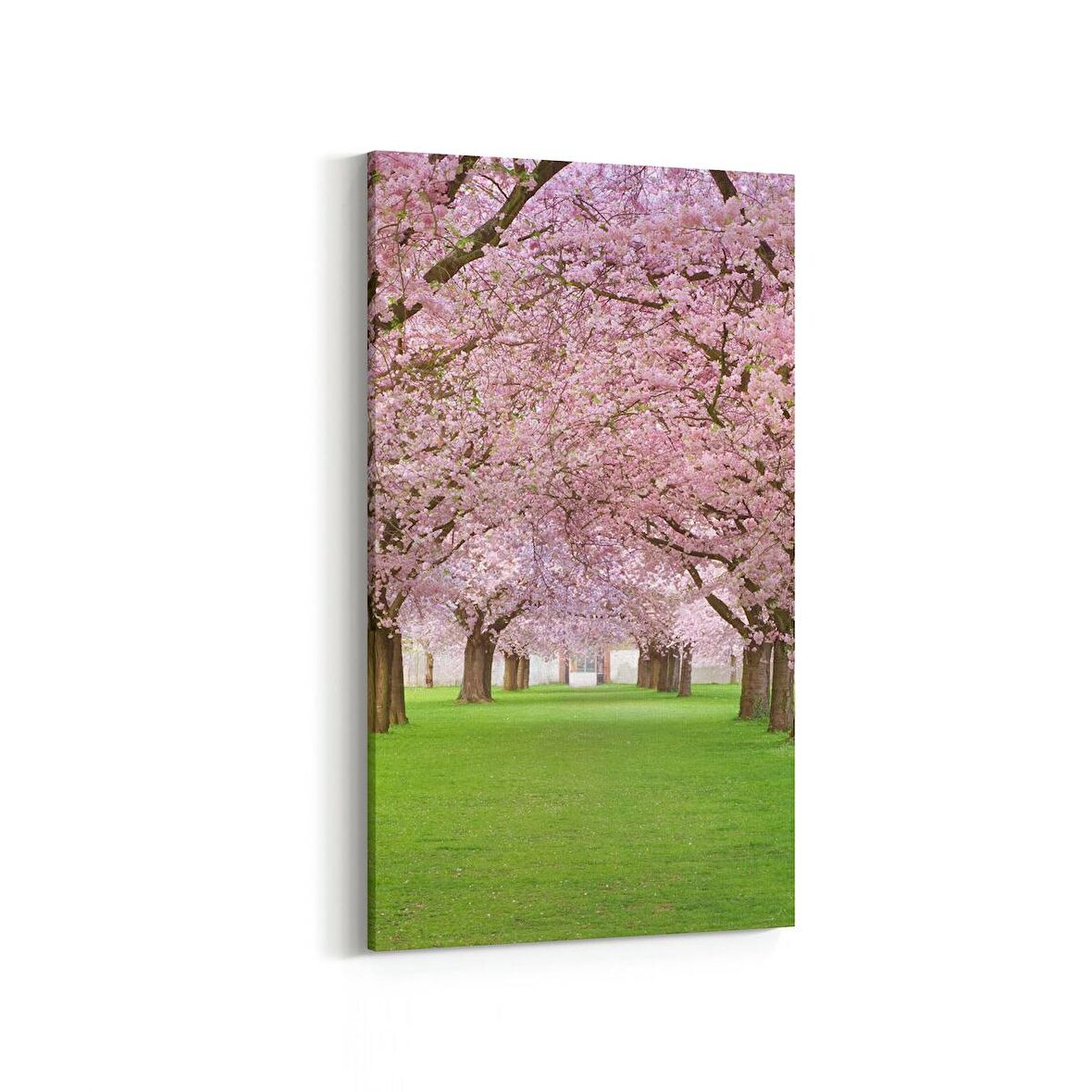 Olla 14054DD Doğa / Manzara Görseli Dikey Dar Kanvas Tablo (Ölçü: 30X60)