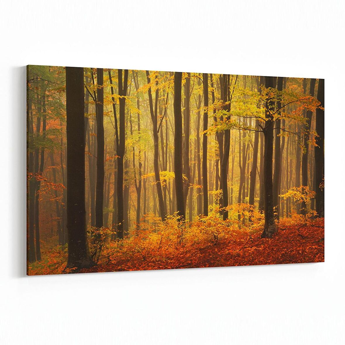 Olla 13356Y Doğa / Manzara Görseli Yatay Kanvas Tablo (Ölçü: 150X100)