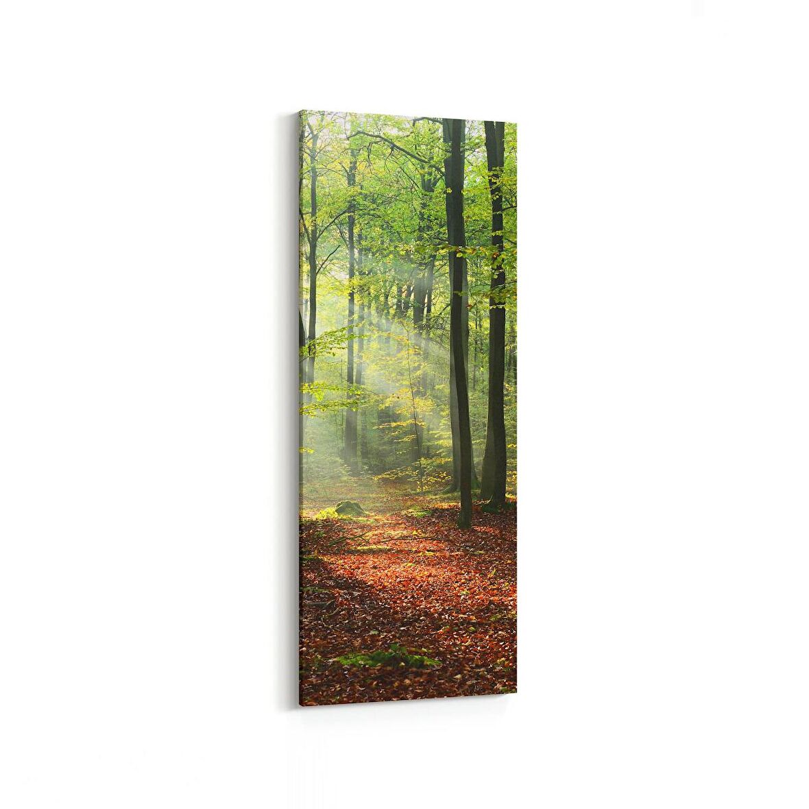 Olla 14355DI Doğa / Manzara Görseli Dikey İnce Kanvas Tablo (Ölçü: 40X120)