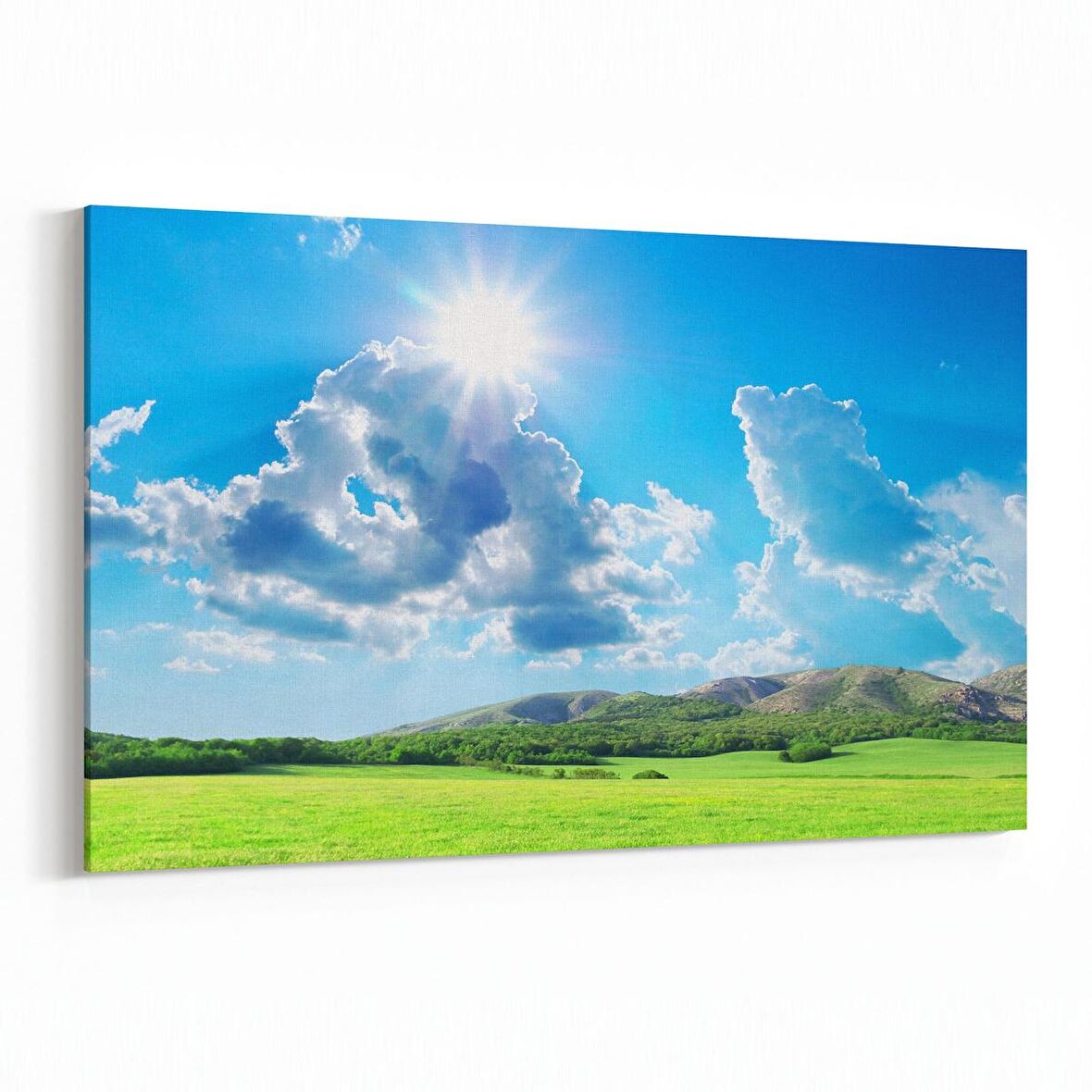 Olla 14333Y Doğa / Manzara Görseli Yatay Kanvas Tablo (Ölçü: 120X80)