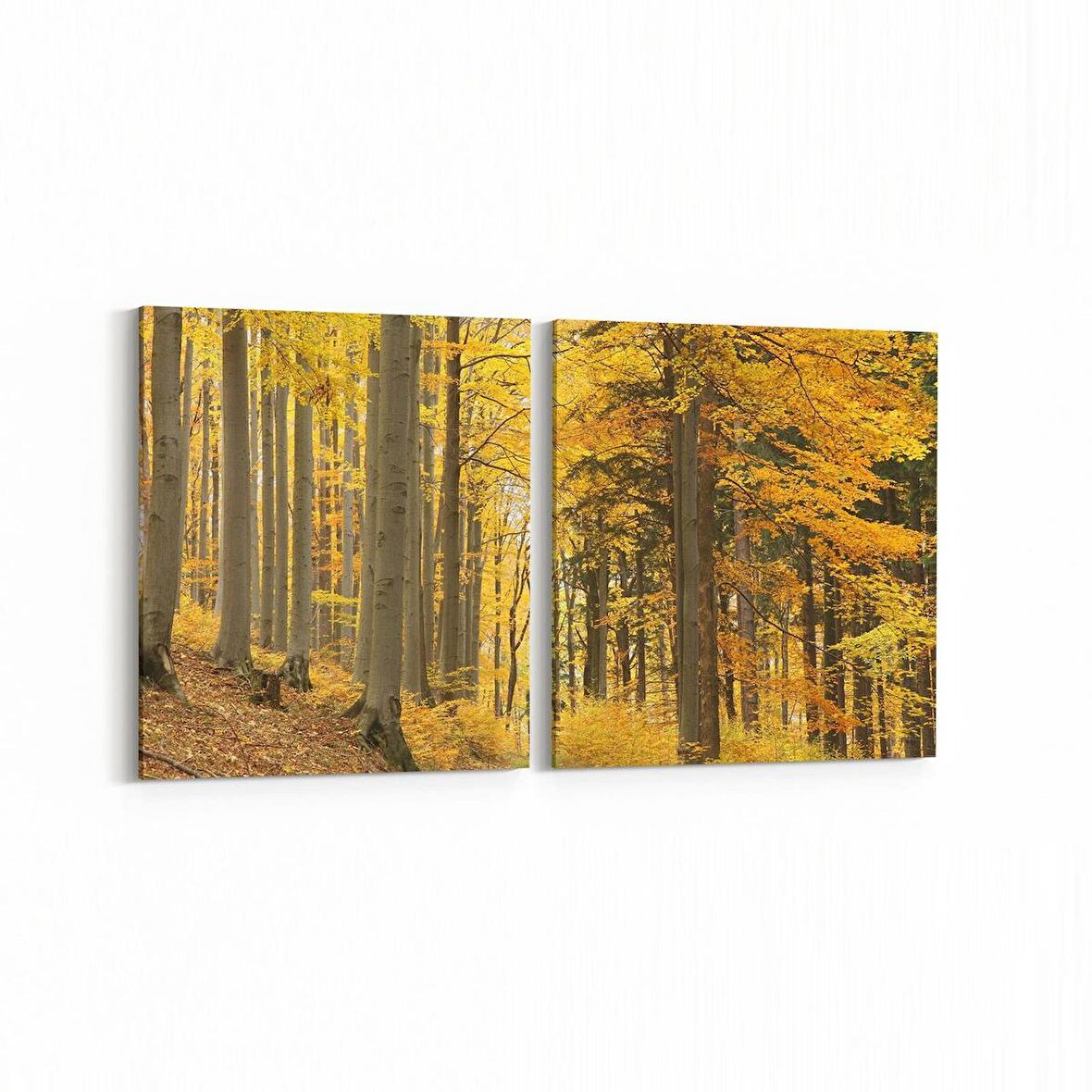 Olla 14599K2Y Doğa / Manzara Görseli Kare 2'li Yatay Kanvas Tablo (Ölçü: 125X60)