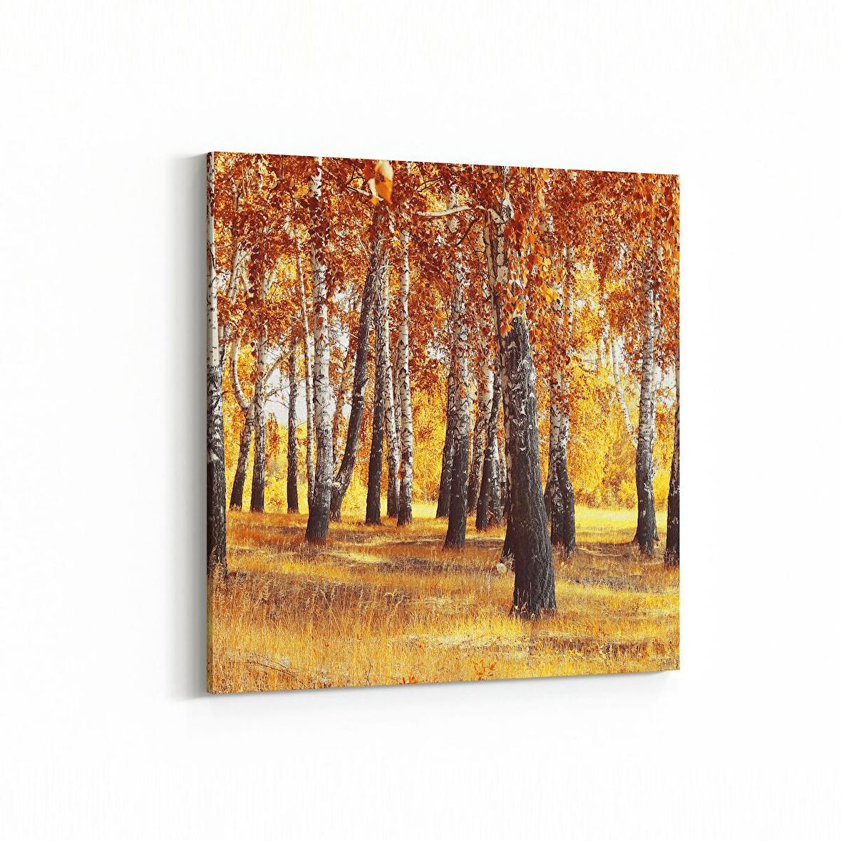 Olla 14096K Doğa / Manzara Görseli Kare Kanvas Tablo (Ölçü: 25X25)