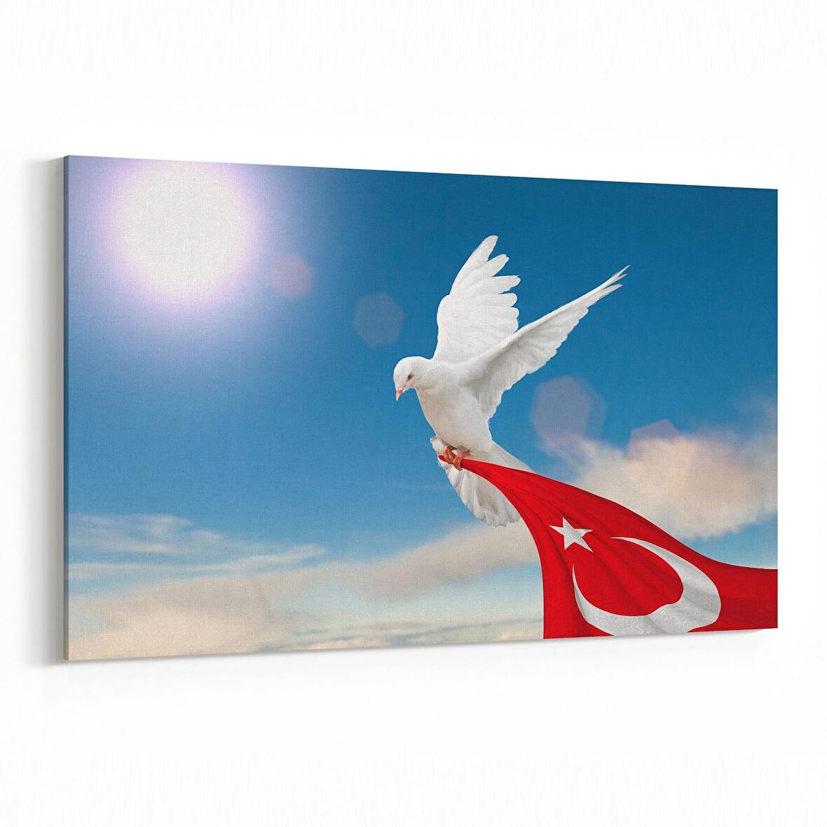 Olla 15867Y Gökyüzü Kuşlar Görseli Yatay Kanvas Tablo (Ölçü: 120X80)