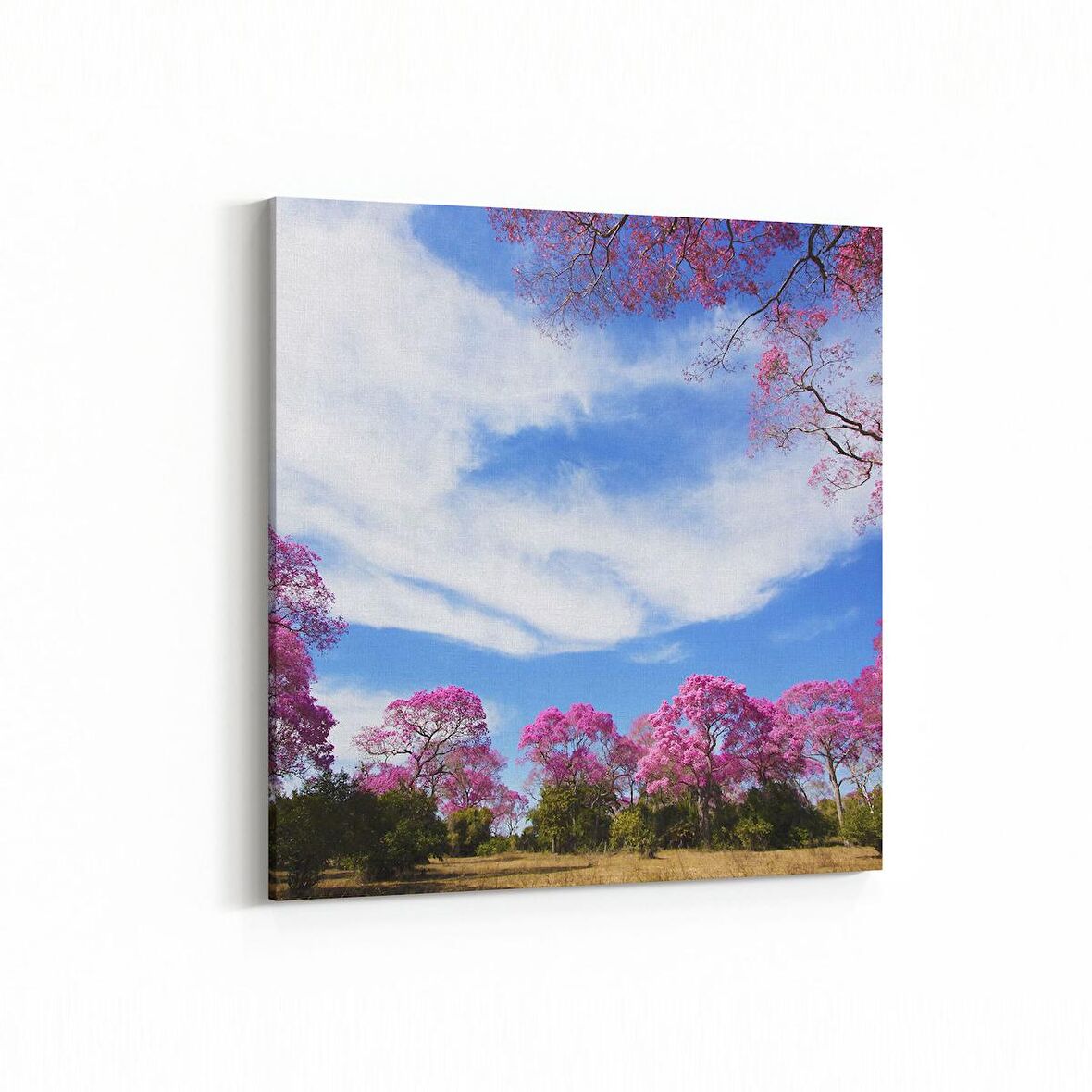 Olla 13532K Doğa / Manzara Görseli Kare Kanvas Tablo (Ölçü: 25X25)