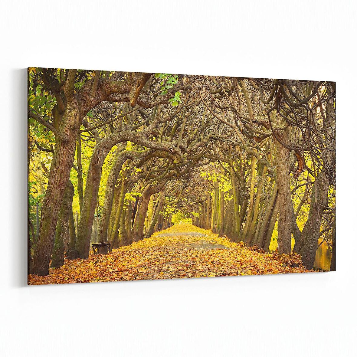 Olla 13366Y Doğa / Manzara Görseli Yatay Kanvas Tablo (Ölçü: 45X30)