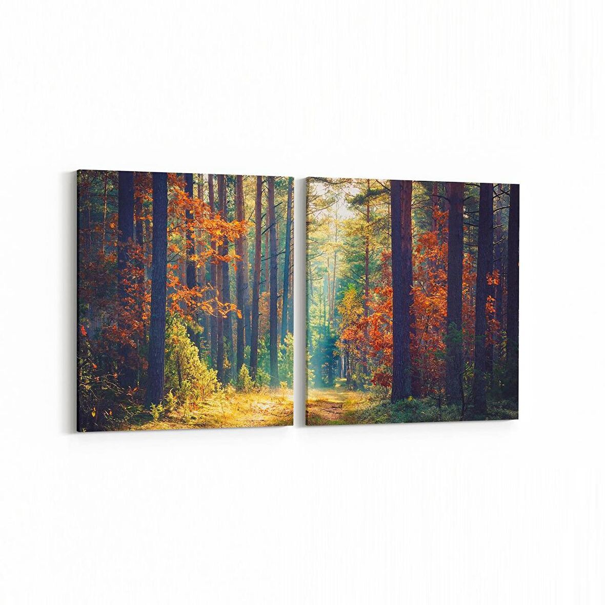 Olla 14508K2Y Doğa / Manzara Görseli Kare 2'li Yatay Kanvas Tablo (Ölçü: 85X40)