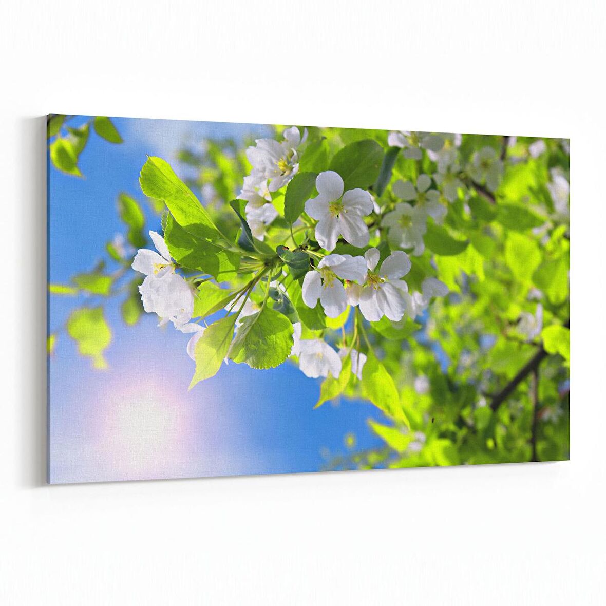 Olla 10798Y Ağaç Görseli Yatay Kanvas Tablo (Ölçü: 90X60)