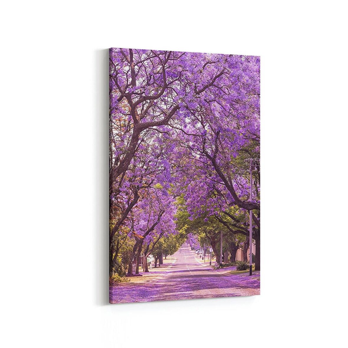 Olla 13983D Doğa / Manzara Görseli Dikey Kanvas Tablo (Ölçü: 100X150)