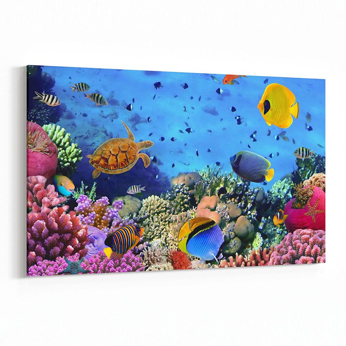 Olla 12058Y Akvaryum / Balık Görseli Yatay Kanvas Tablo (Ölçü: 70X50)