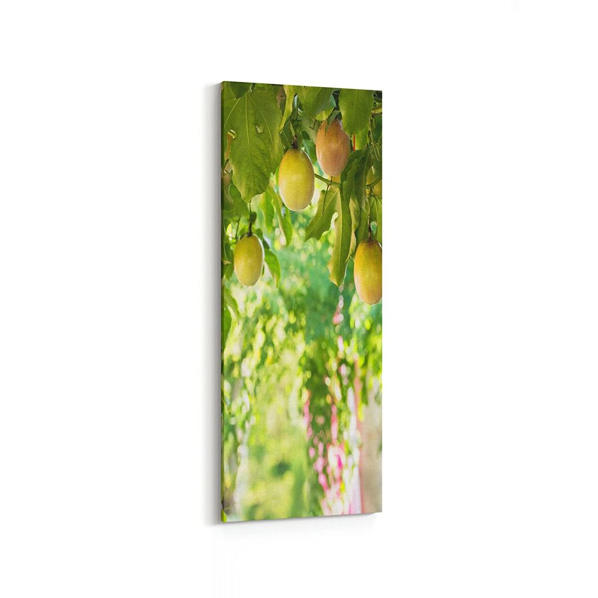 Olla 14962DI Gıda Görseli Dikey İnce Kanvas Tablo (Ölçü: 40X120)