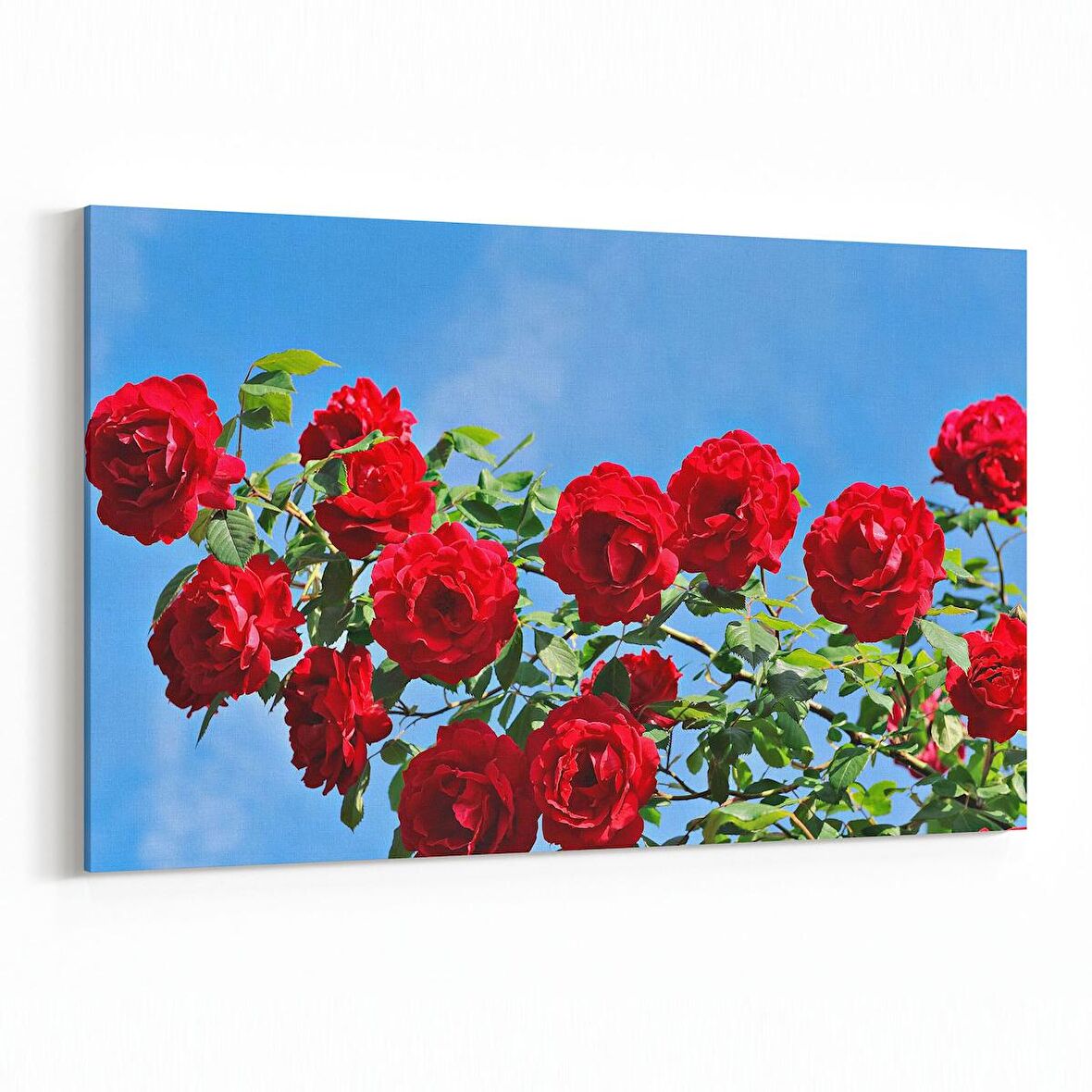 Olla 11020Y Ağaç Görseli Yatay Kanvas Tablo (Ölçü: 120X80)