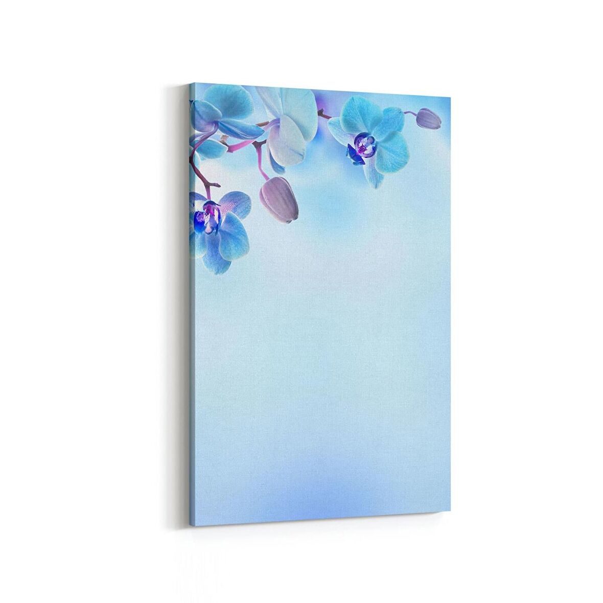Olla 11690D Orkide Çiçek Görseli Dikey Kanvas Tablo (Ölçü: 60X90)