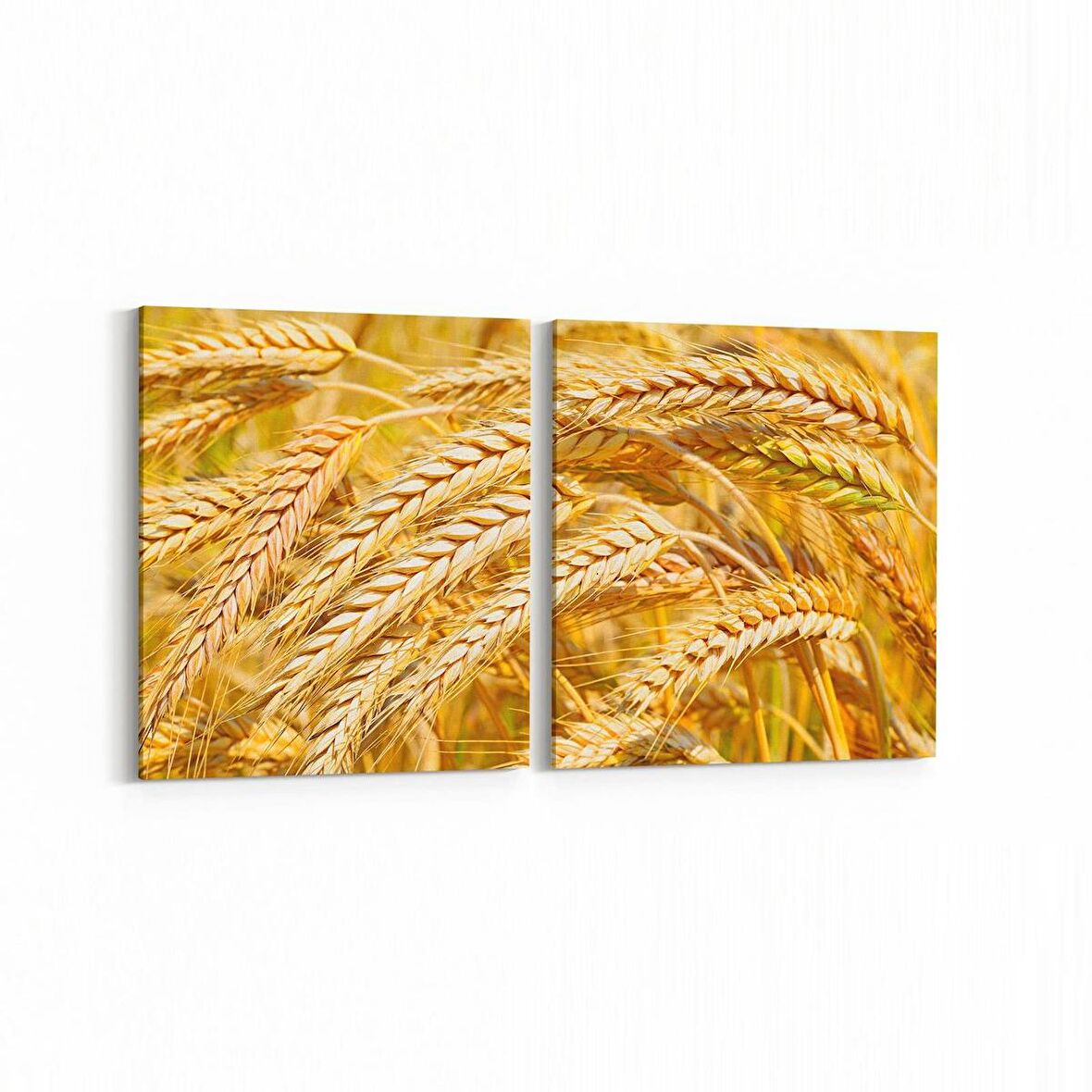 Olla 15127K2Y Gıda Görseli Kare 2'li Yatay Kanvas Tablo (Ölçü: 145X70)