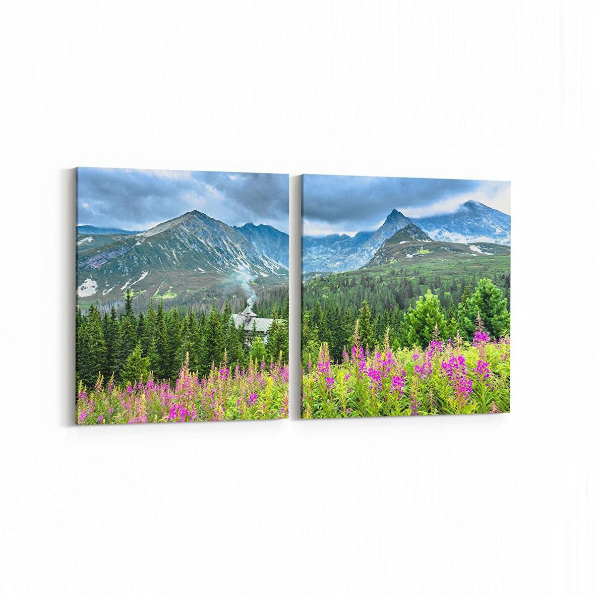 Olla 14360K2Y Doğa / Manzara Görseli Kare 2'li Yatay Kanvas Tablo (Ölçü: 145X70)