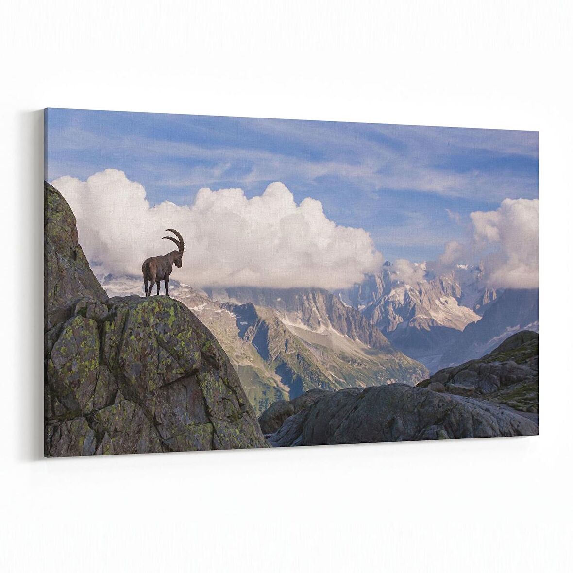 Olla 13218Y Doğa / Manzara Görseli Yatay Kanvas Tablo (Ölçü: 70X50)