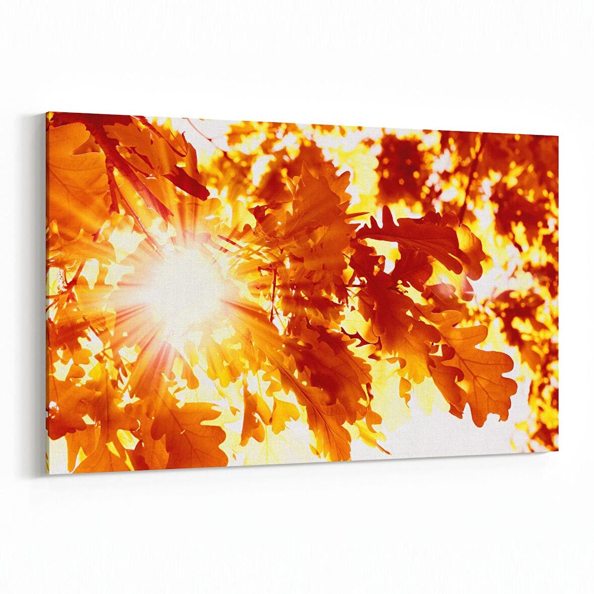 Olla 10663Y Ağaç Görseli Yatay Kanvas Tablo (Ölçü: 70X50)