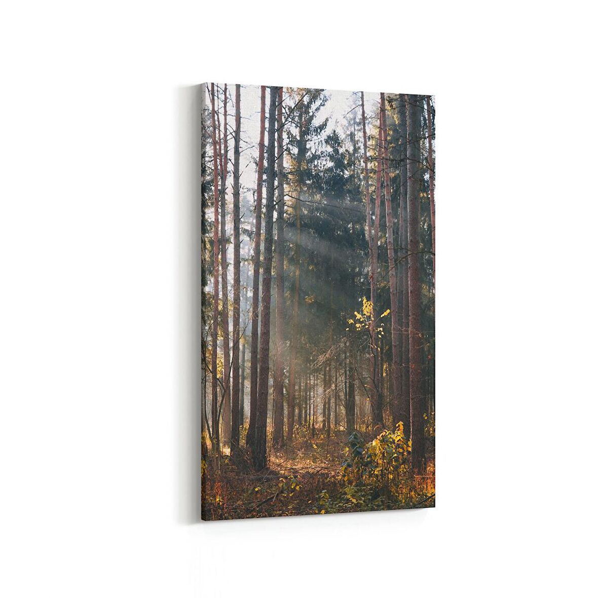 Olla 13560DD Doğa / Manzara Görseli Dikey Dar Kanvas Tablo (Ölçü: 30X60)