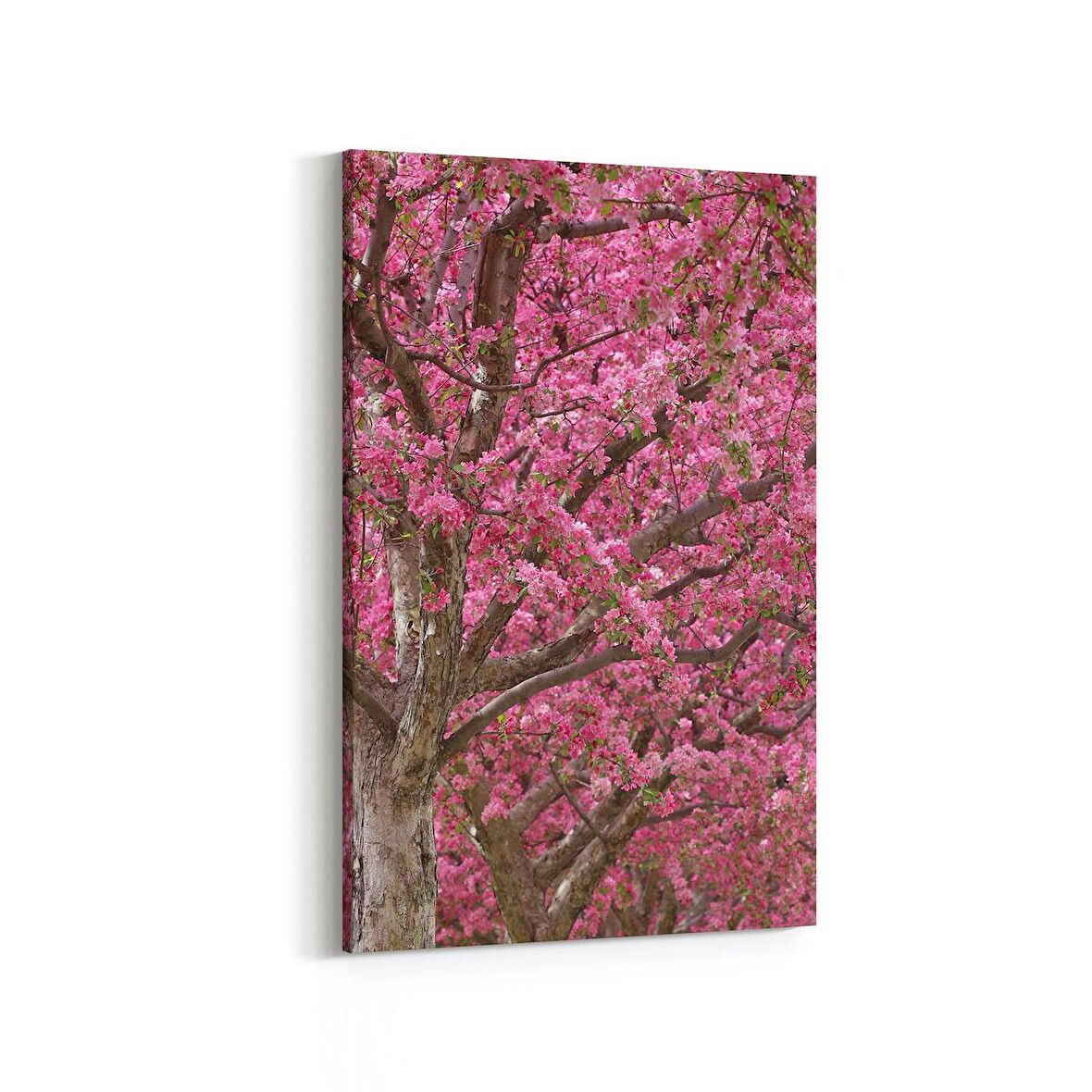 Olla 10588D Ağaç Görseli Dikey Kanvas Tablo (Ölçü: 20X30)