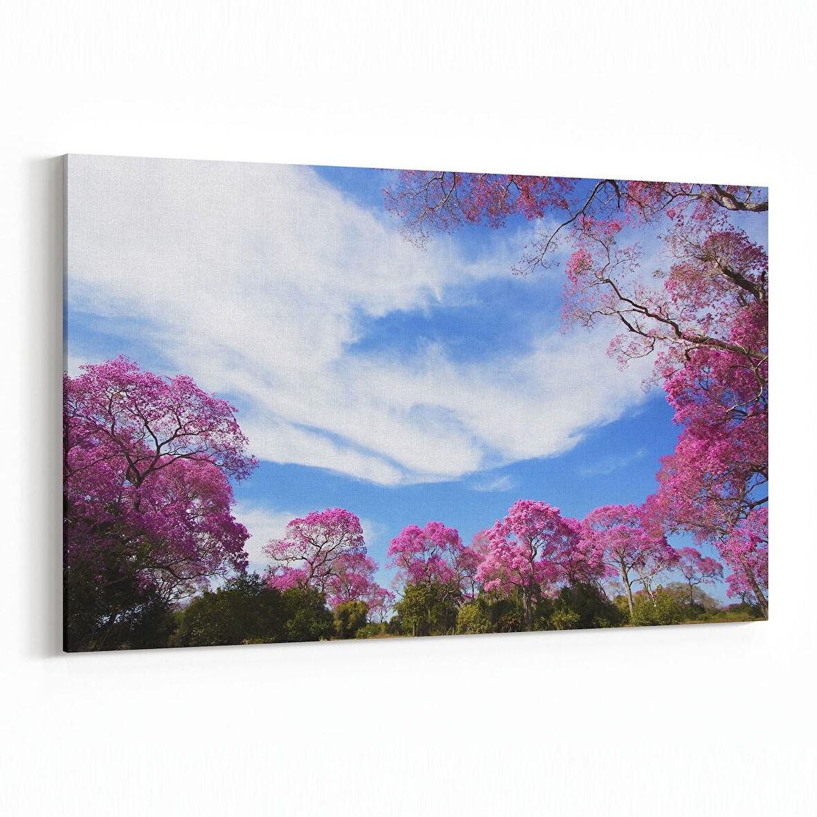 Olla 13532Y Doğa / Manzara Görseli Yatay Kanvas Tablo (Ölçü: 90X60)