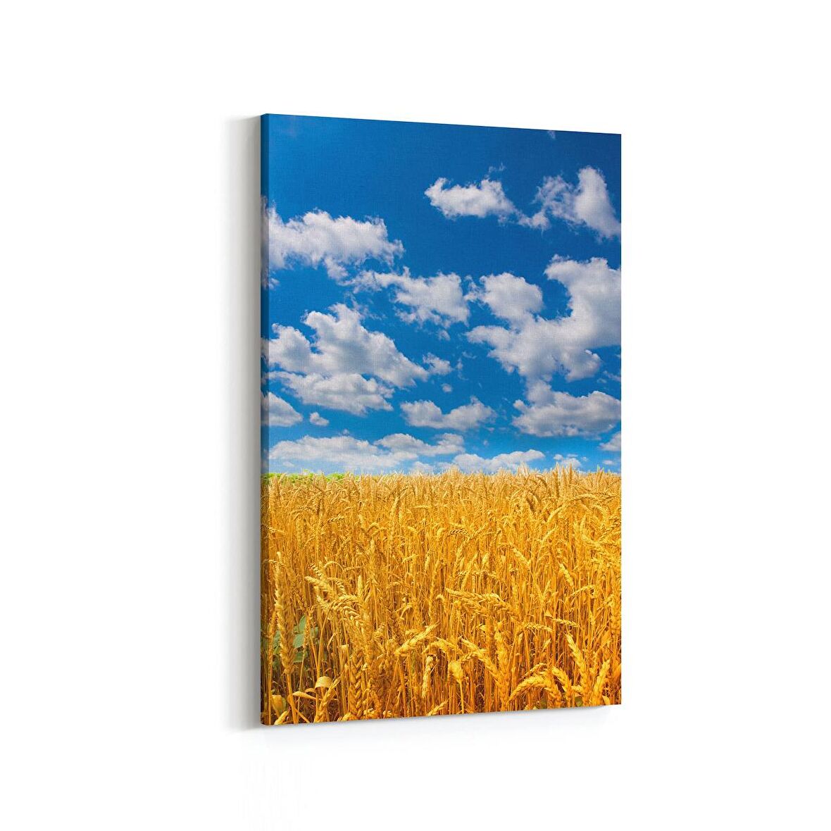 Olla 14105D Doğa / Manzara Görseli Dikey Kanvas Tablo (Ölçü: 100X150)