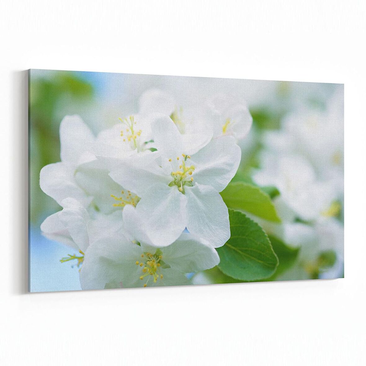 Olla 10915Y Ağaç Görseli Yatay Kanvas Tablo (Ölçü: 90X60)