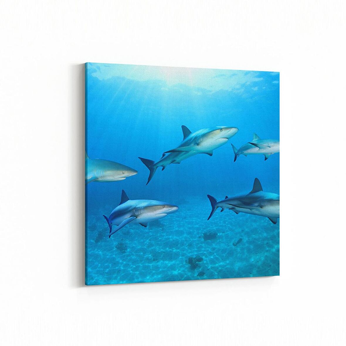 Olla 12870K Deniz / Okyanus Görseli Kare Kanvas Tablo (Ölçü: 25X25)