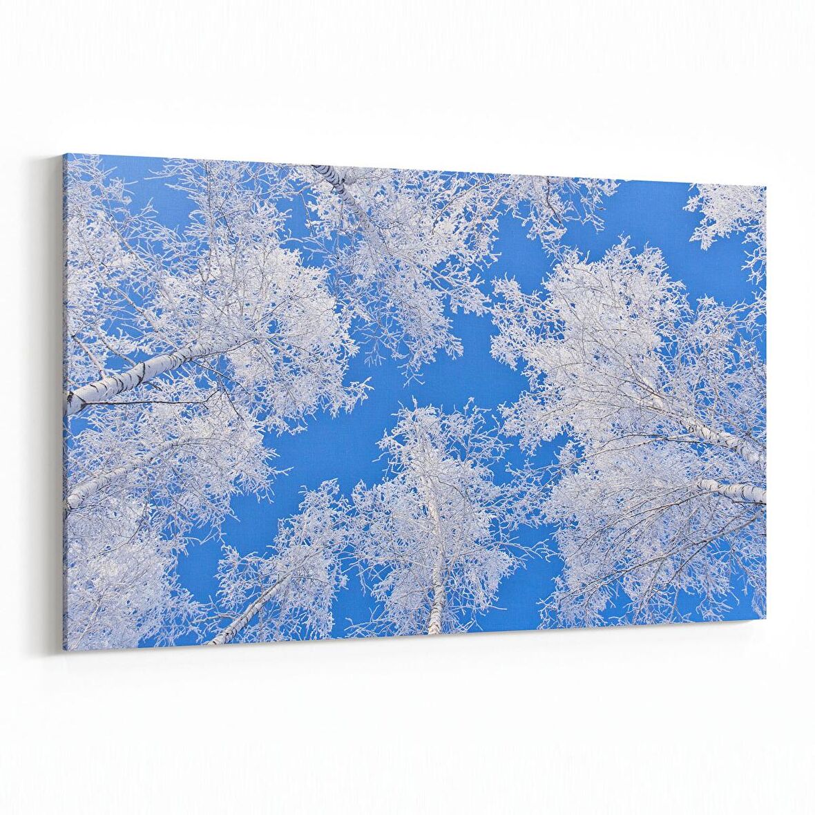 Olla 10519Y Ağaç Görseli Yatay Kanvas Tablo (Ölçü: 90X60)