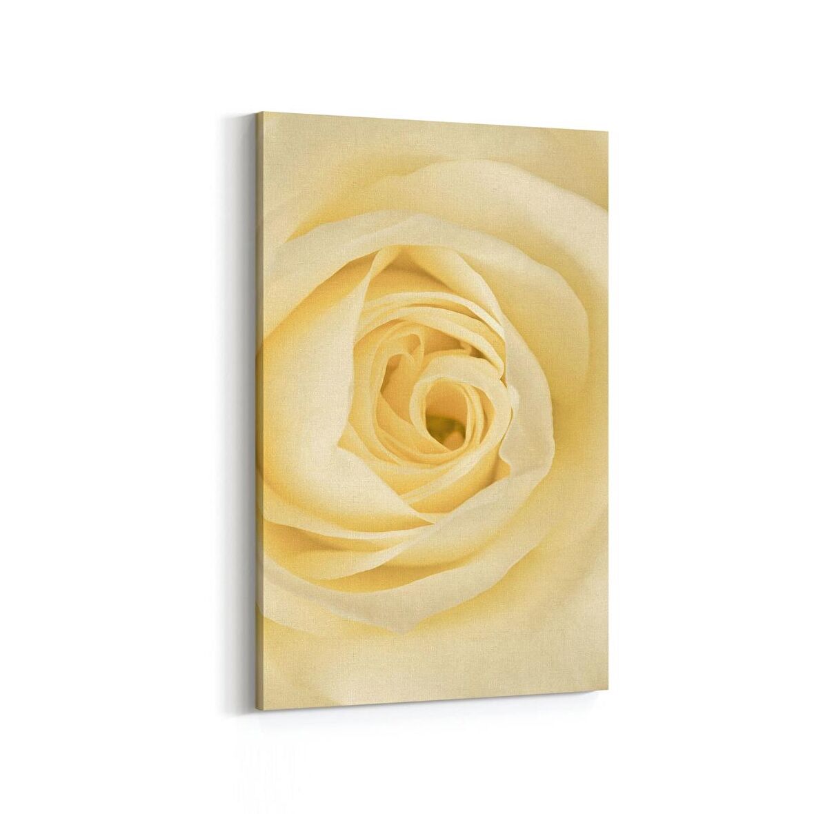 Olla 11644D Çiçek Görseli Dikey Kanvas Tablo (Ölçü: 100X150)