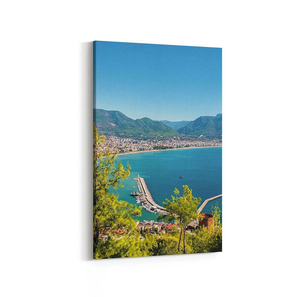 Olla 13346D Doğa / Manzara Görseli Dikey Kanvas Tablo (Ölçü: 100X150)