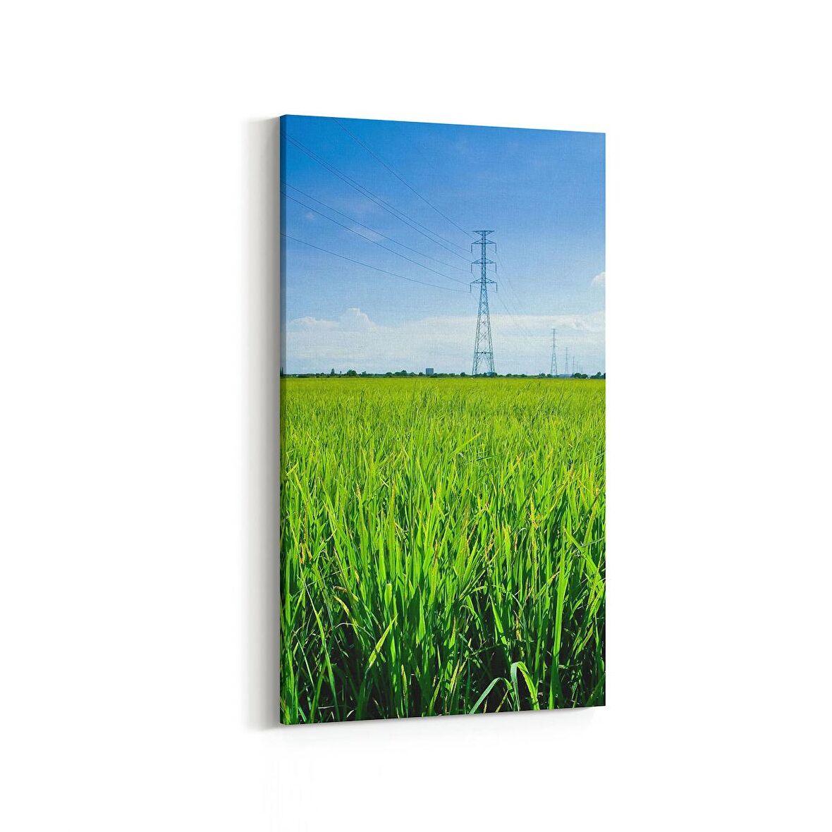 Olla 14556DD Doğa / Manzara Görseli Dikey Dar Kanvas Tablo (Ölçü: 40X80)
