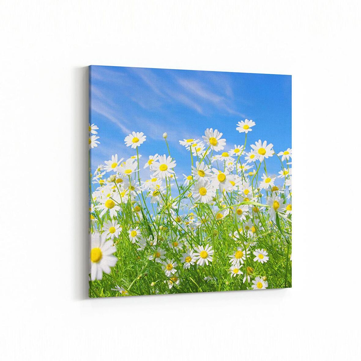 Olla 14320K Doğa / Manzara Görseli Kare Kanvas Tablo (Ölçü: 25X25)