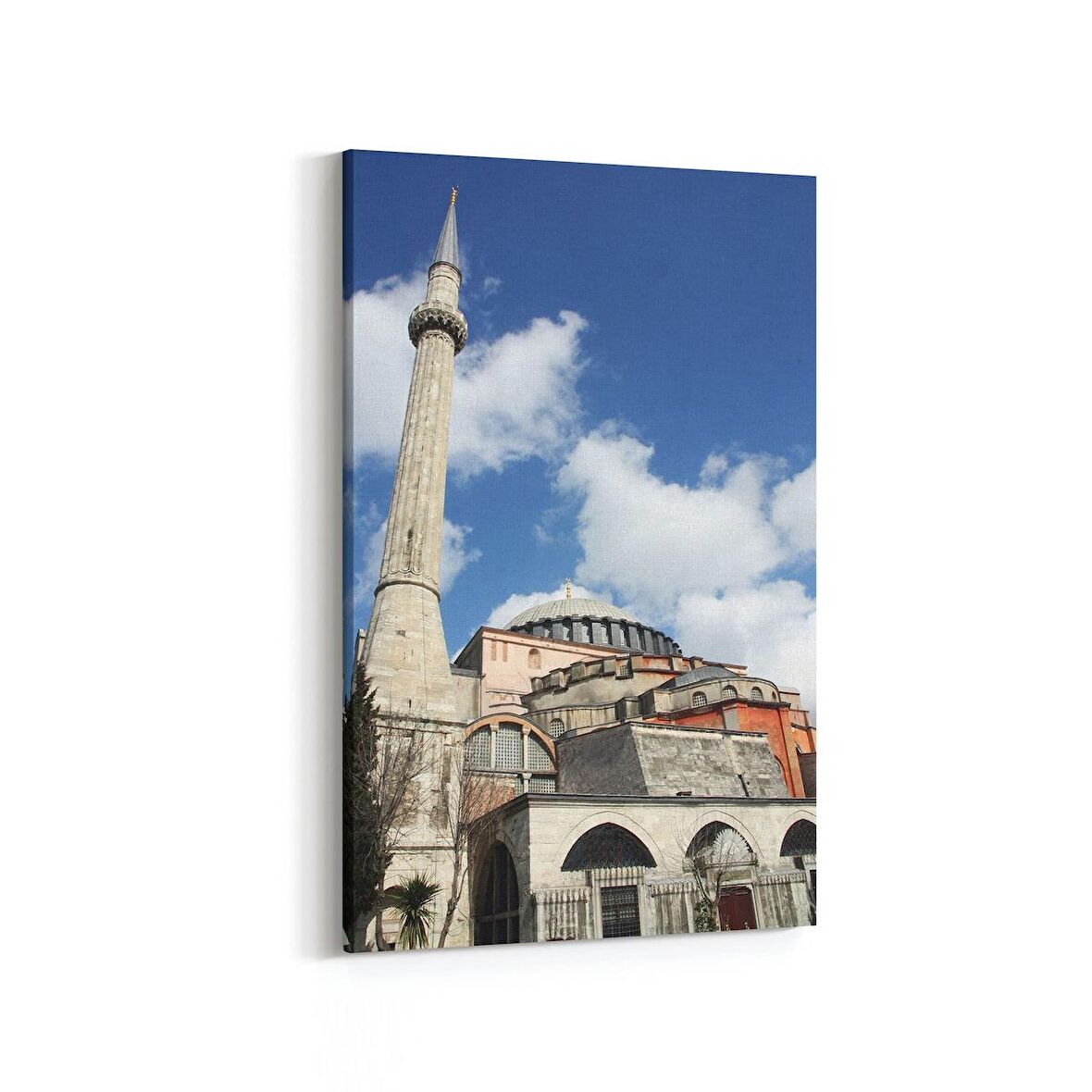 Olla 18146D Yapı Görseli Dikey Kanvas Tablo (Ölçü: 60X90)