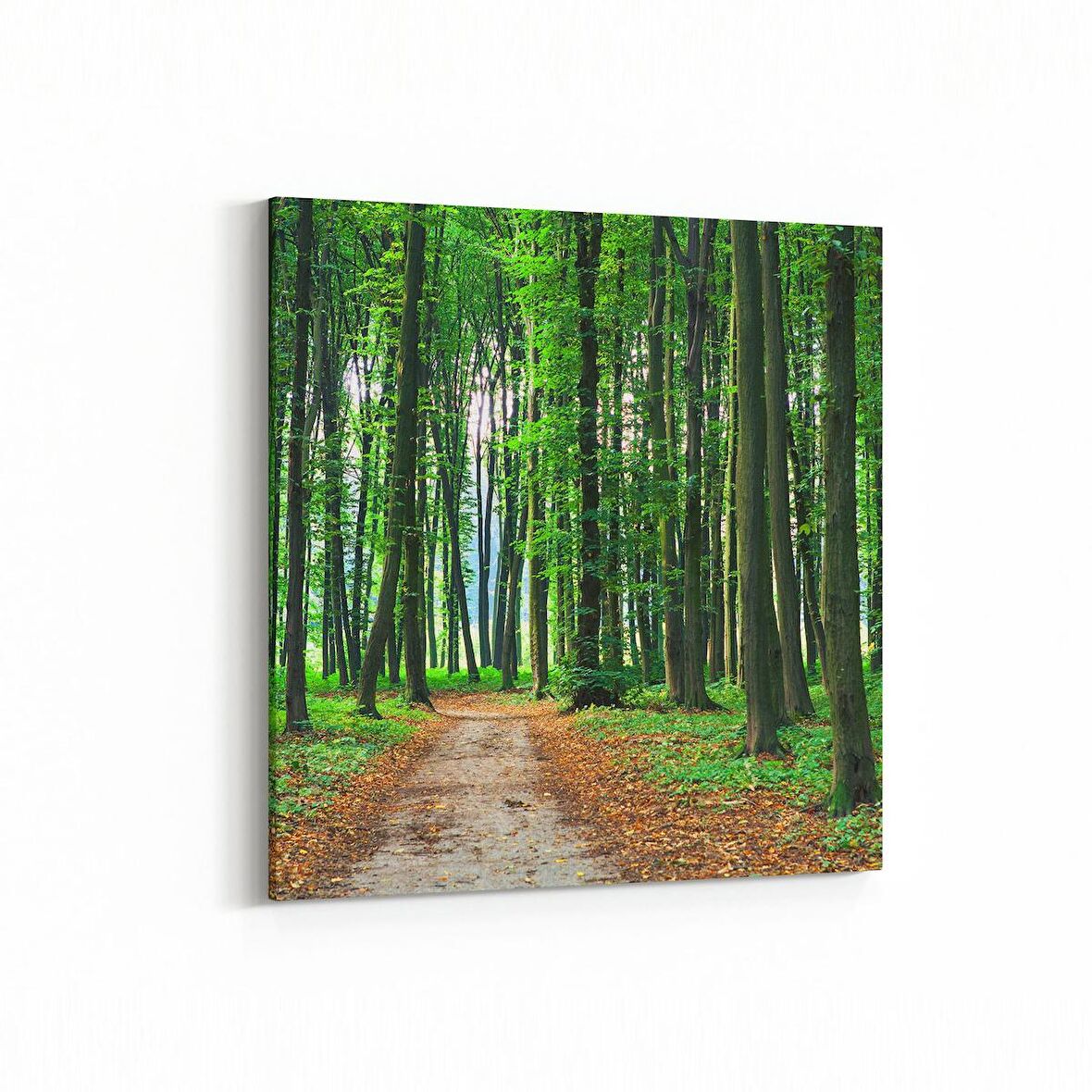 Olla 13870K Doğa / Manzara Görseli Kare Kanvas Tablo (Ölçü: 25X25)