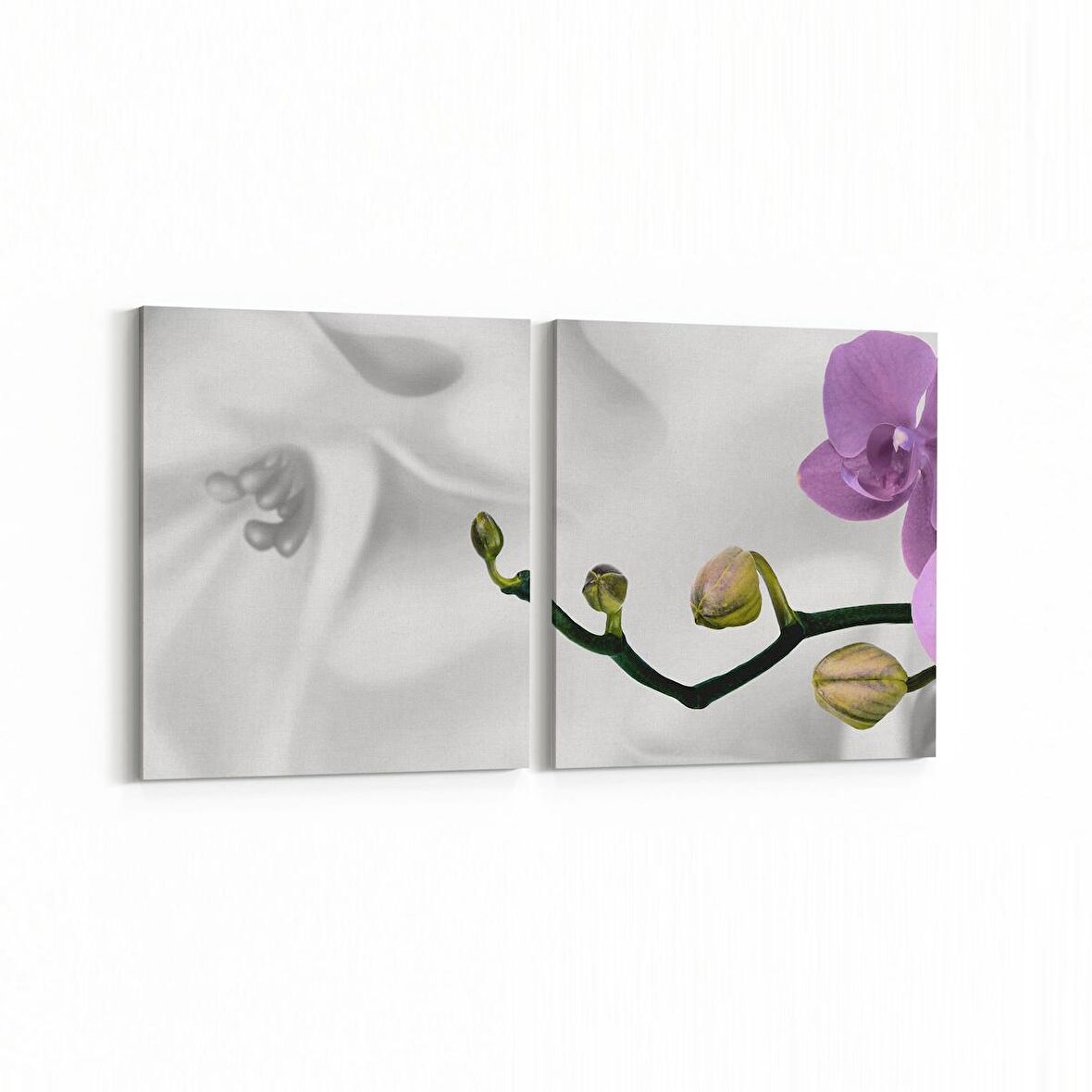 Olla 11673K2Y Orkide Çiçek Görseli 2'li Yatay Kanvas Tablo (Ölçü: 85X40)