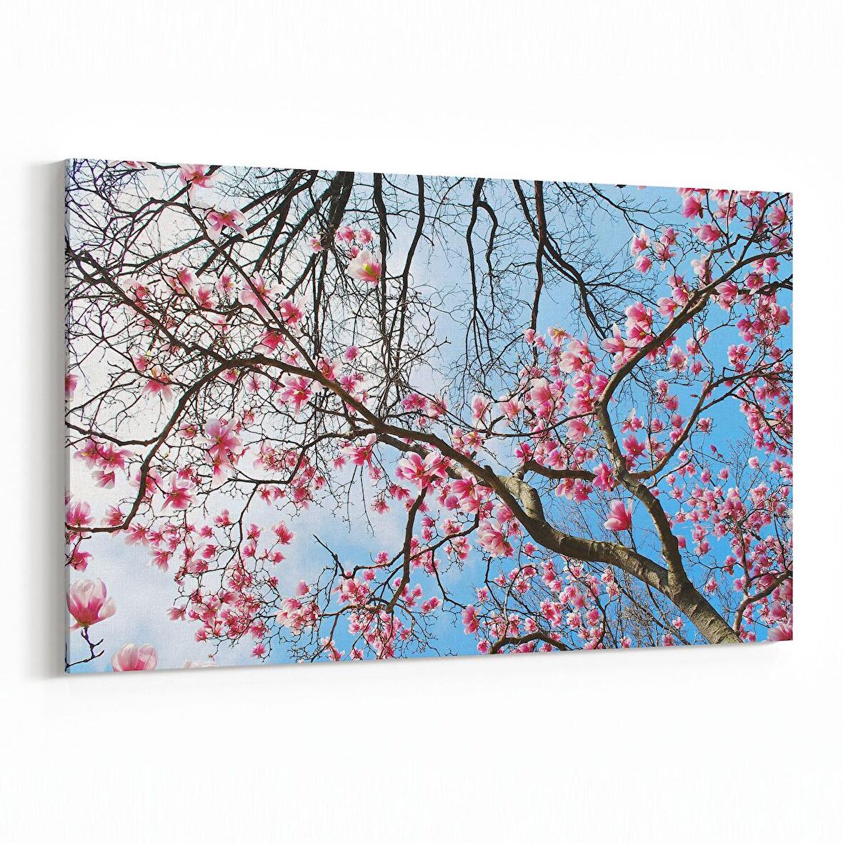 Olla 11065Y Ağaç Görseli Yatay Kanvas Tablo (Ölçü: 70X50)