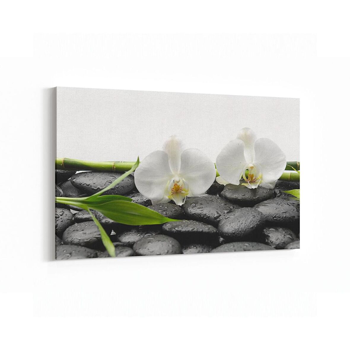 Olla 17106Y Spa / Masaj Görseli Yatay Kanvas Tablo (Ölçü: 30X20)