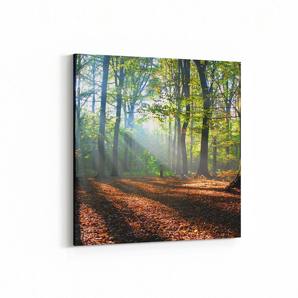 Olla 14606K Doğa / Manzara Görseli Kare Kanvas Tablo (Ölçü: 25X25)