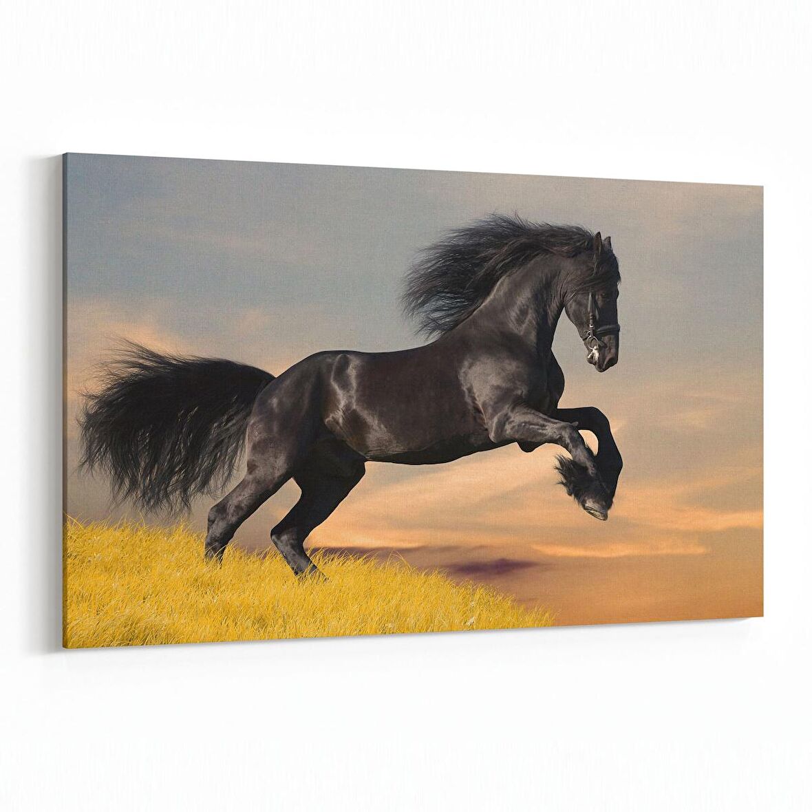 Olla 12543Y Hayvanlar Alemi Görseli Yatay Kanvas Tablo (Ölçü: 70X50)