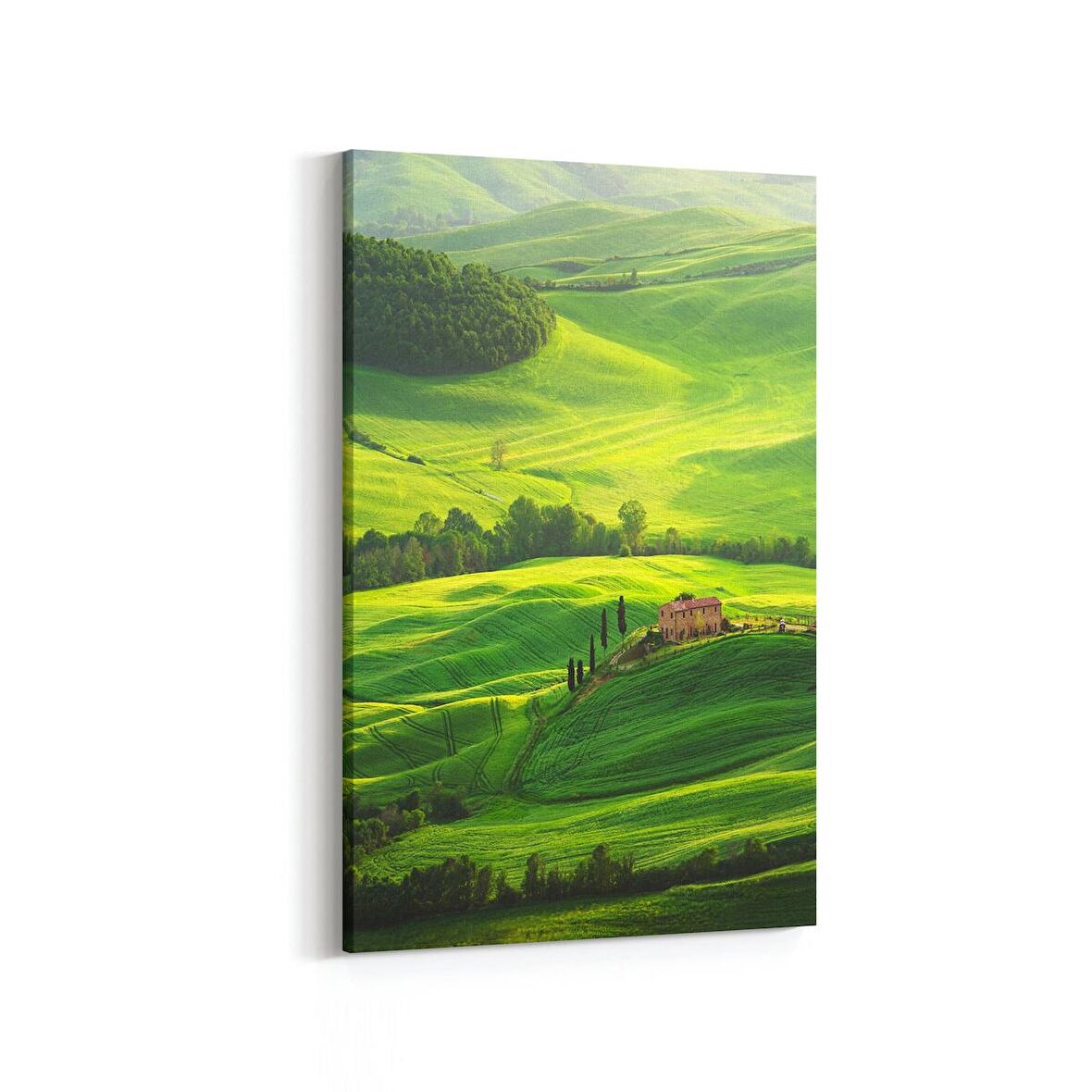 Olla 13491D Doğa / Manzara Görseli Dikey Kanvas Tablo (Ölçü: 60X90)