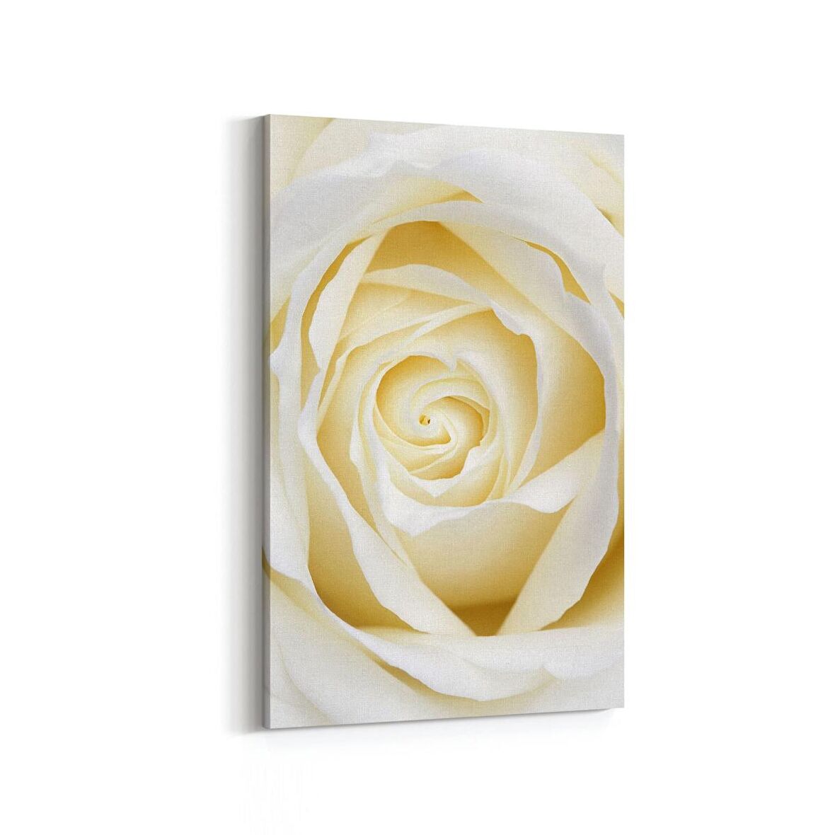 Olla 11638D Çiçek Görseli Dikey Kanvas Tablo (Ölçü: 70X105)