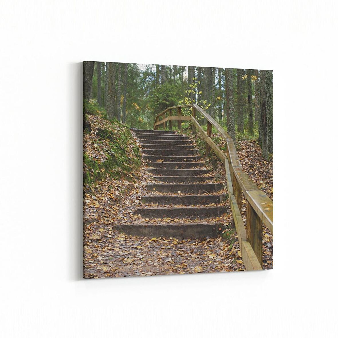 Olla 14494K Doğa / Manzara Görseli Kare Kanvas Tablo (Ölçü: 25X25)