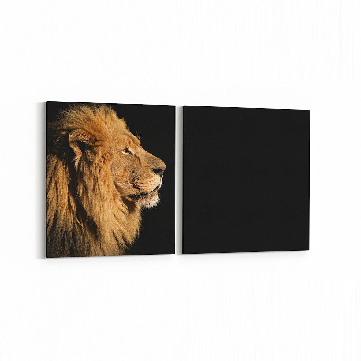 Olla 12559K2Y Hayvanlar Alemi Görseli Kare 2'li Yatay Kanvas Tablo (Ölçü: 145X70)