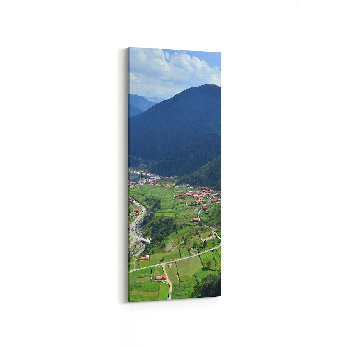 Olla 13985DI Doğa / Manzara Görseli Dikey İnce Kanvas Tablo (Ölçü: 40X120)